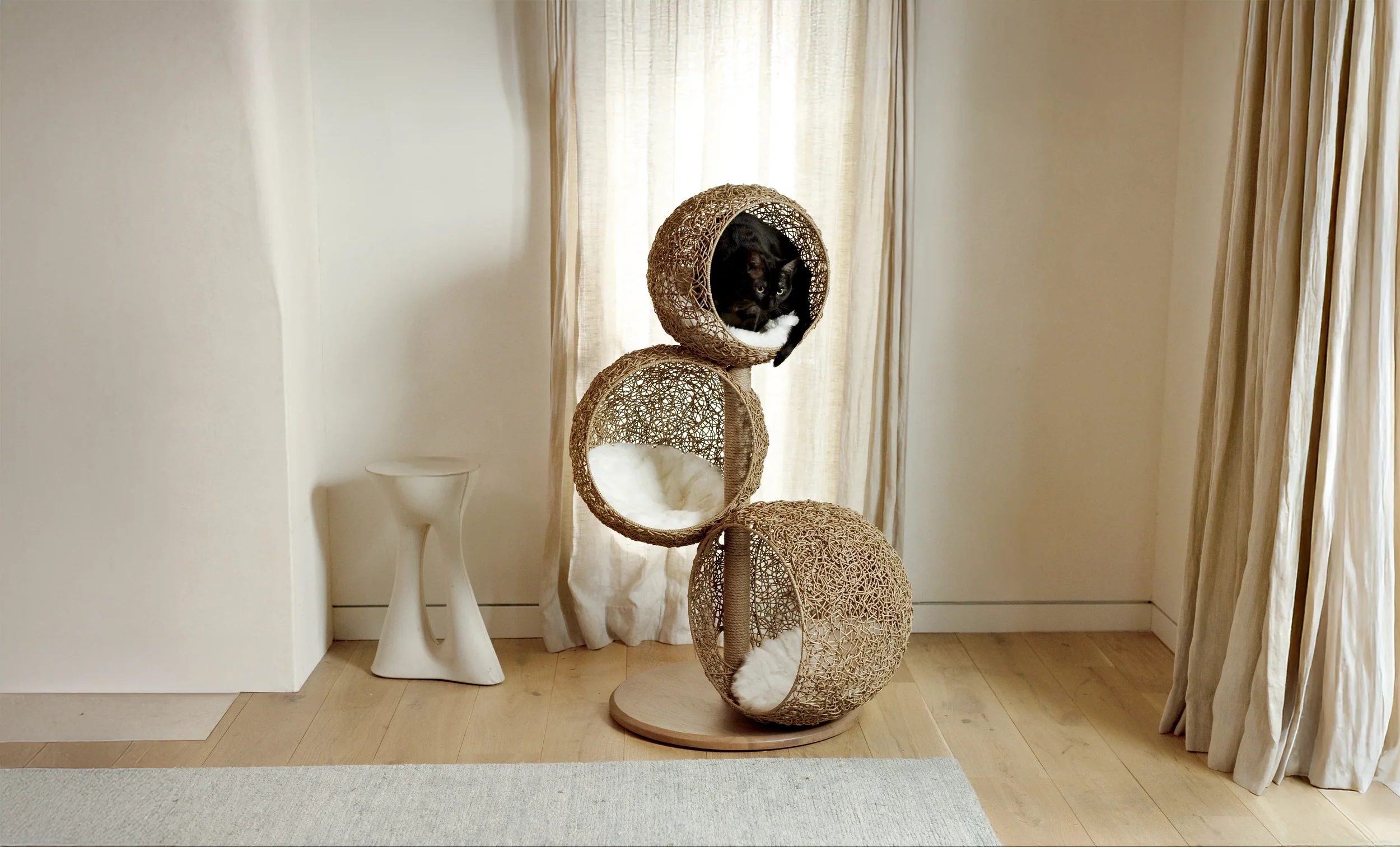 Luxury Design for Modern Cats